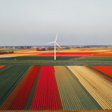 wind farms