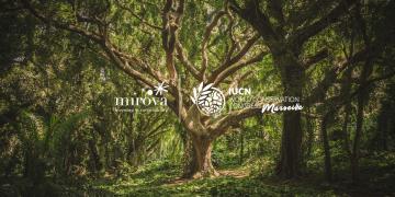 Mirova partners with the IUCN World Conservation Congress