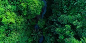 Picture of forest and river - Kering and L’Occitane Group join forces to finance nature protection at scale with the Climate Fund for Nature