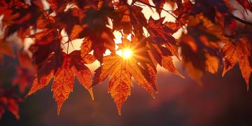 Mirovα, Creating Sustainable Value - October 2025